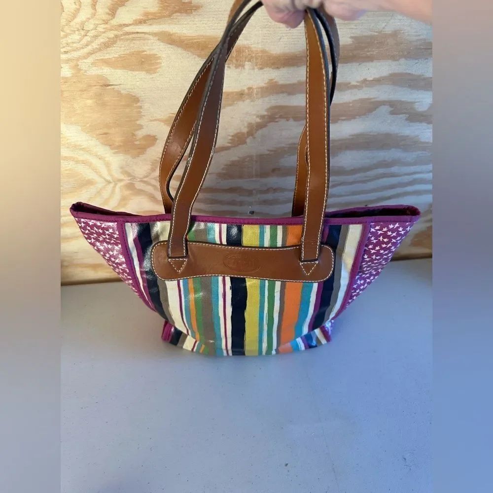 Fossil Colorful Striped  Bag